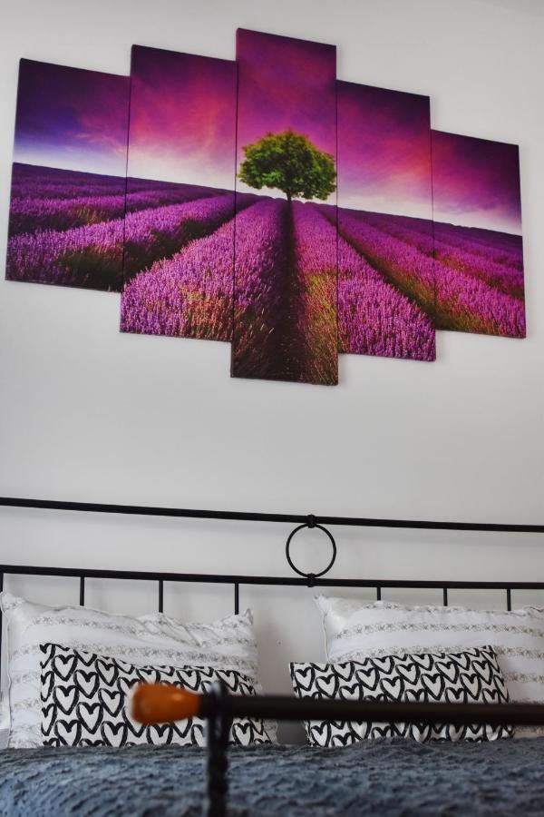 Studio Apartment Old Town Castle Samobor Bagian luar foto