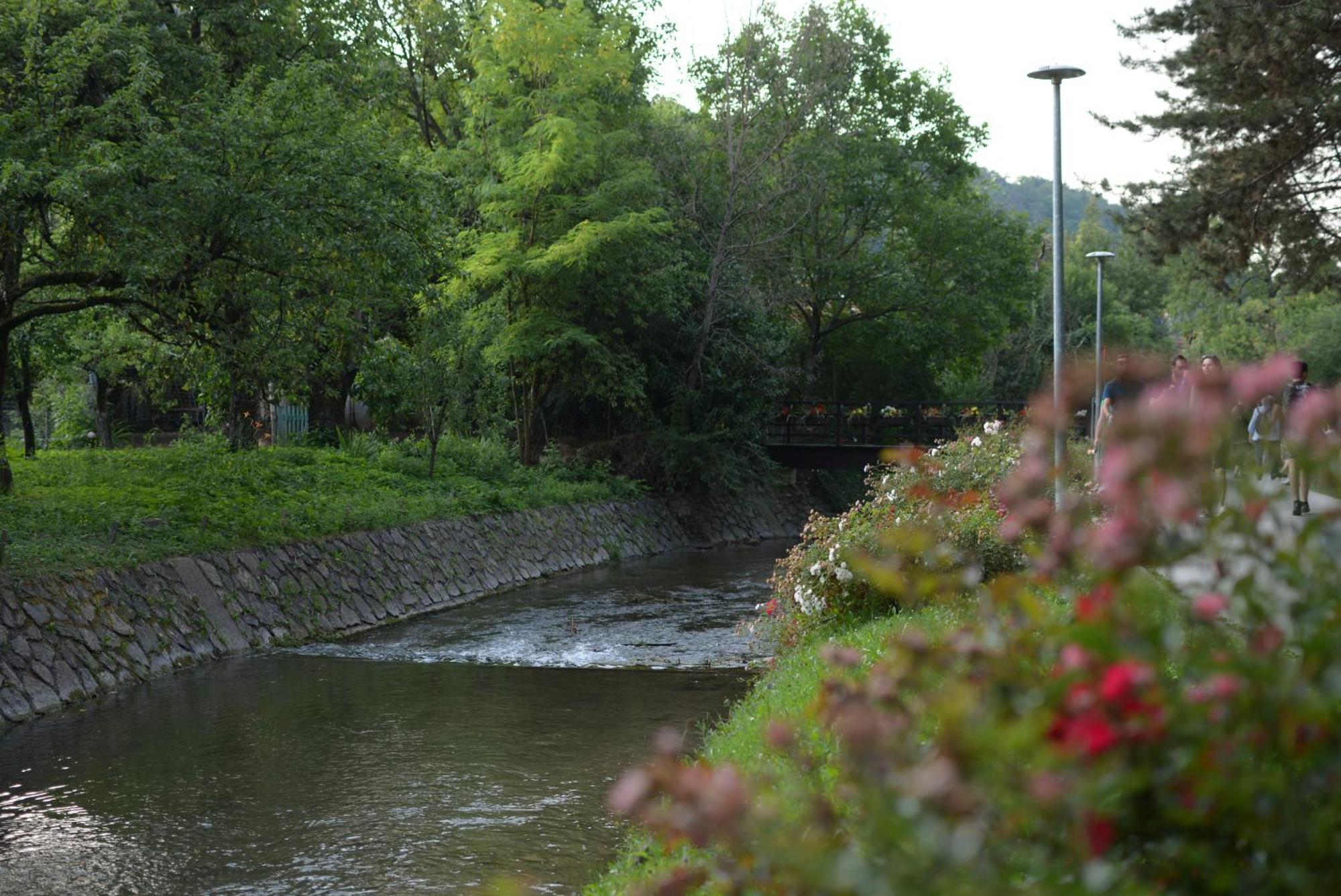 Studio Apartment Old Town Castle Samobor Bagian luar foto