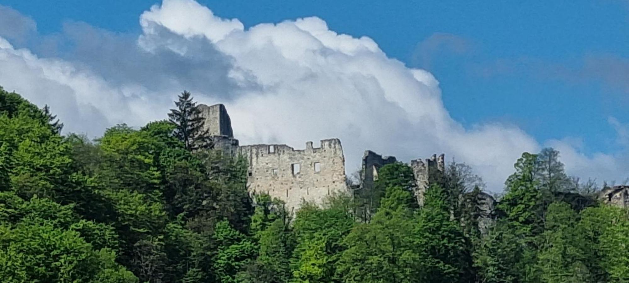Studio Apartment Old Town Castle Samobor Bagian luar foto