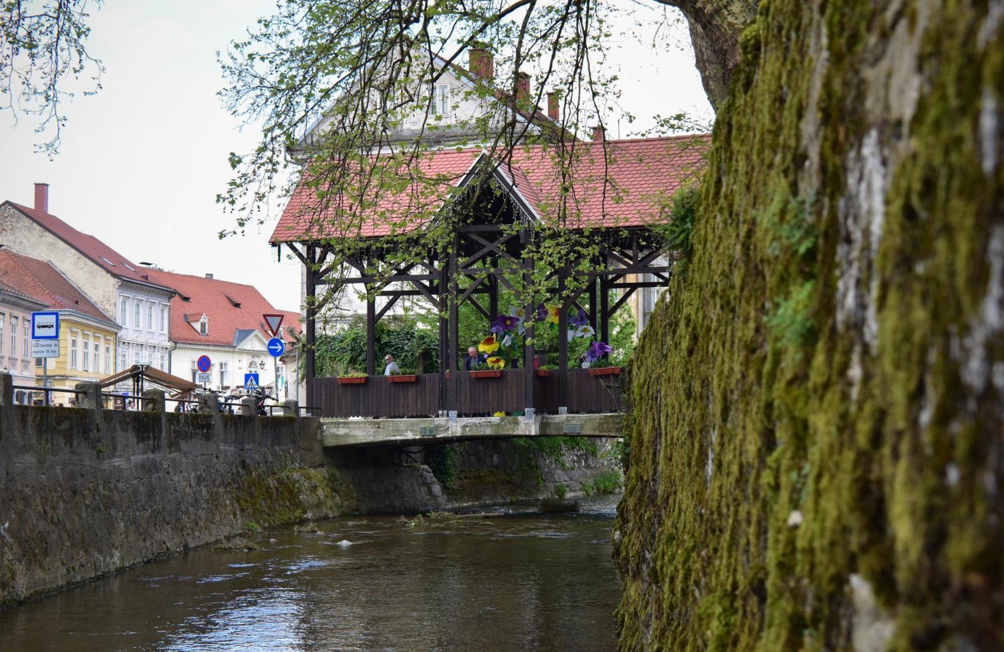 Studio Apartment Old Town Castle Samobor Bagian luar foto